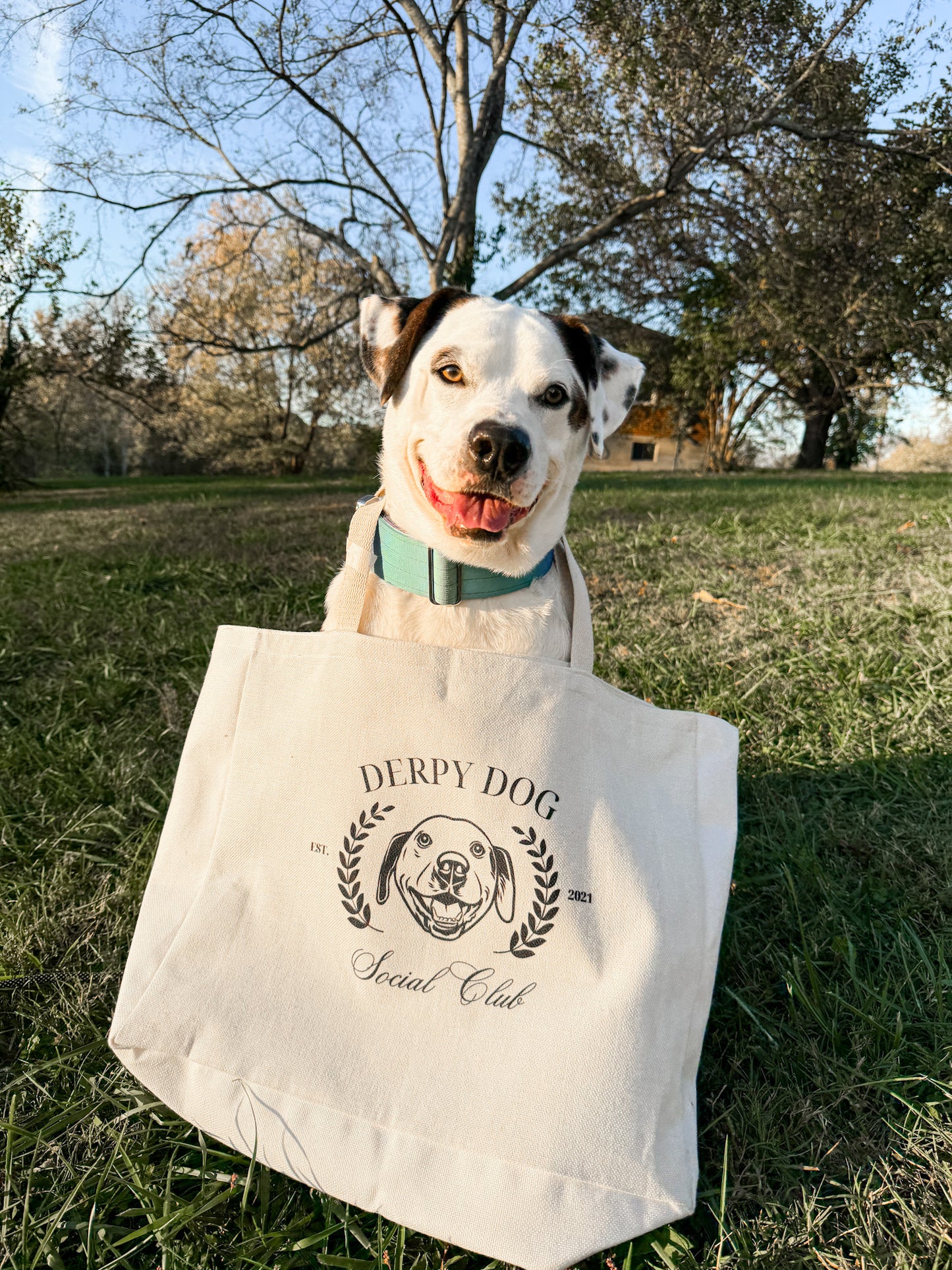 Custom Pet Portrait Social Club Oversized Tote