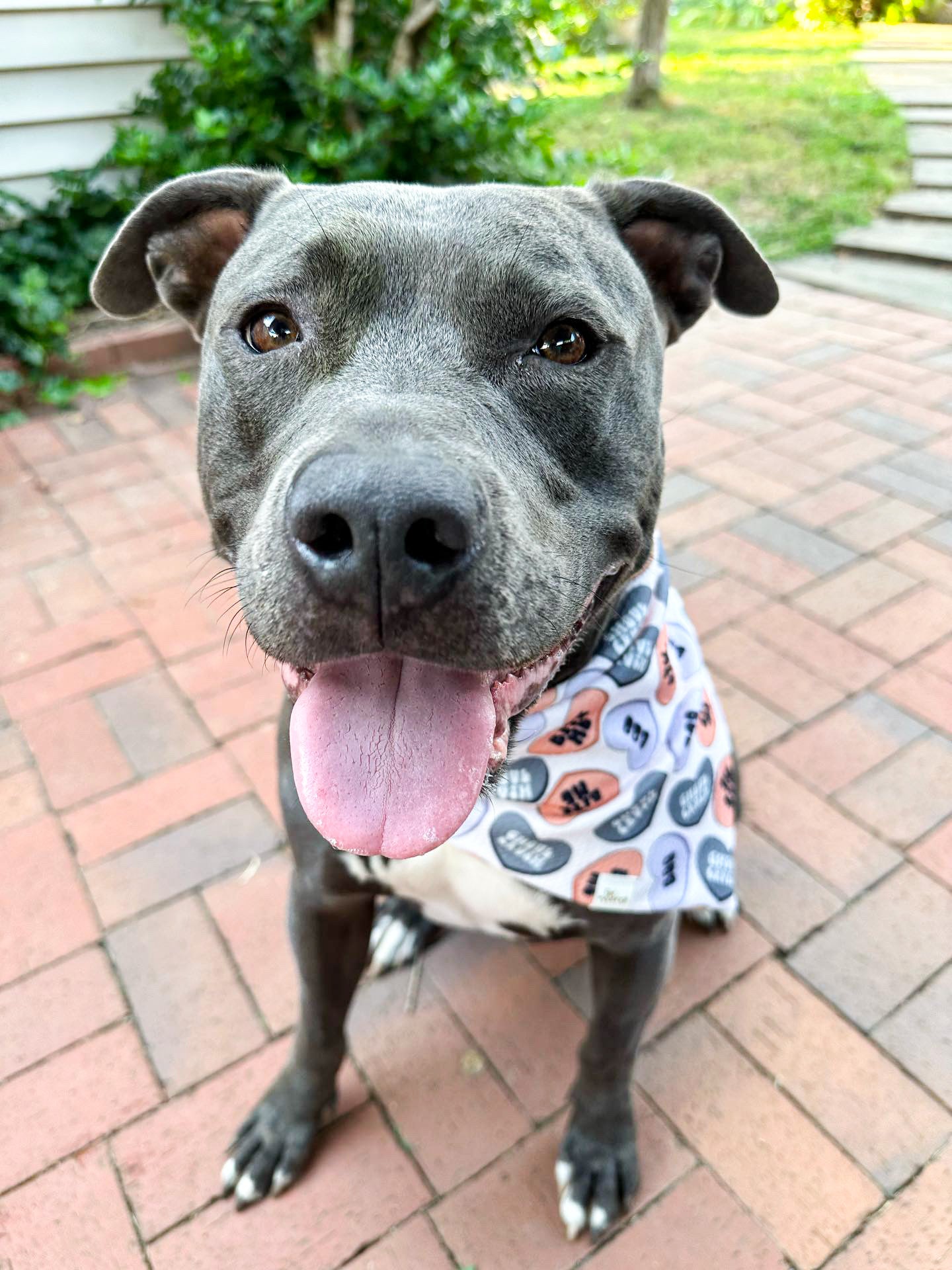 Halloween Candy Hearts Wrinkle Resistant Bandana