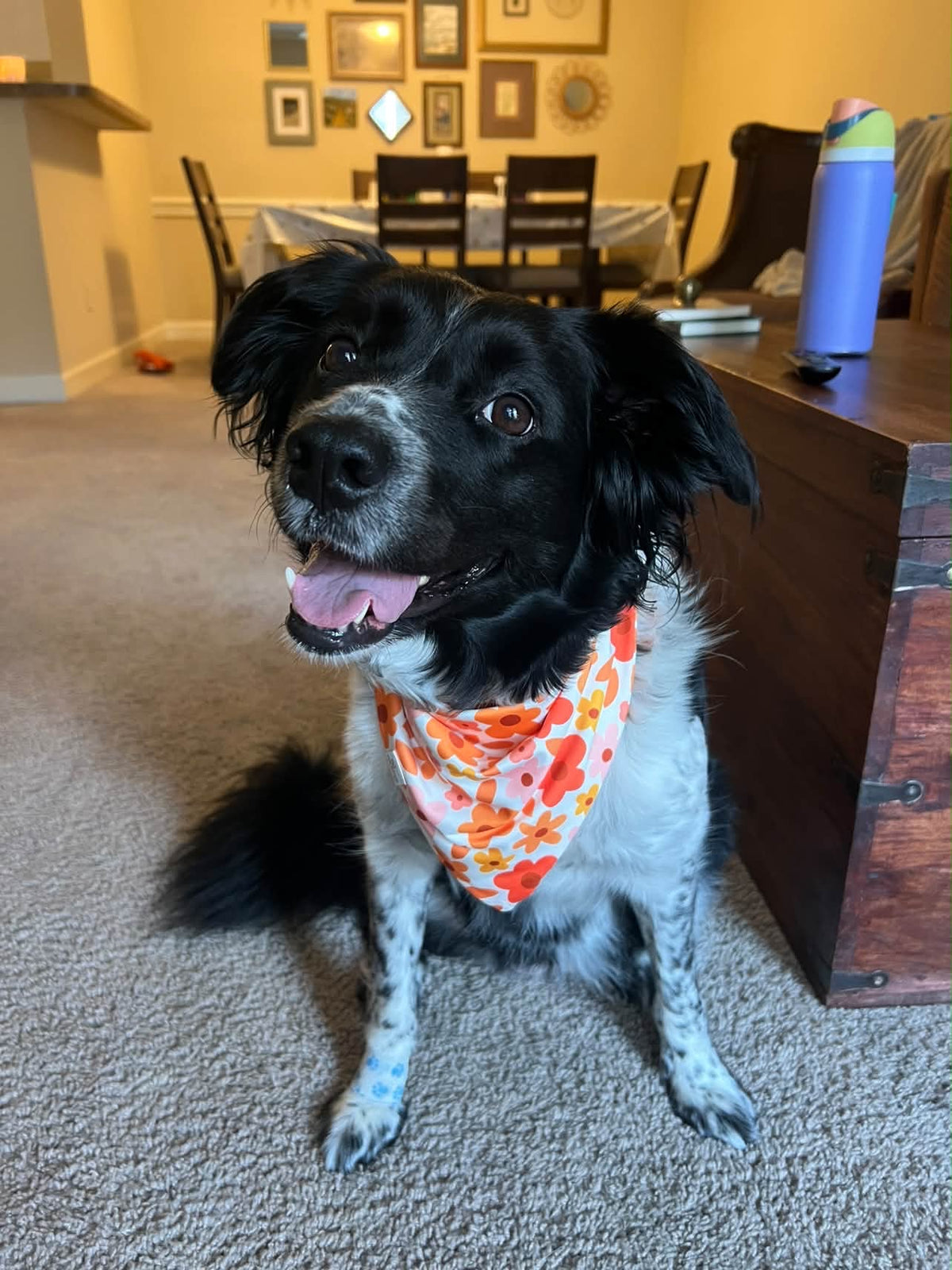Hello Autumn Wrinkle Resistant Bandana