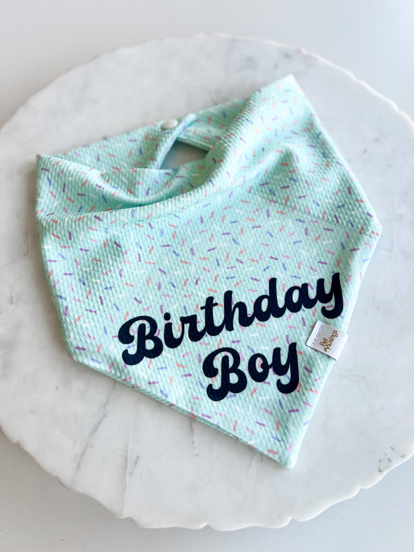 Birthday Boy Classic Wrinkle Resistant Bandana