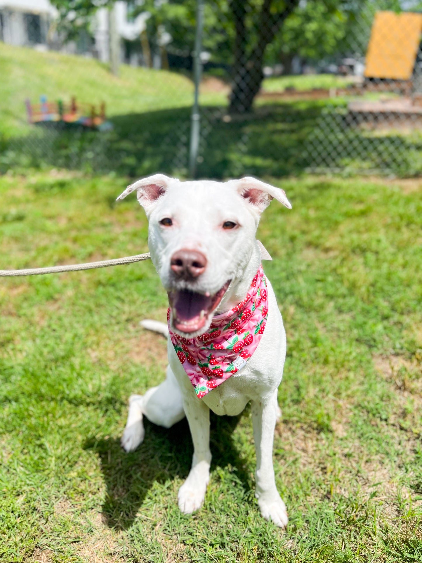 3D Strawberry Wrinkle Resistant Bandana