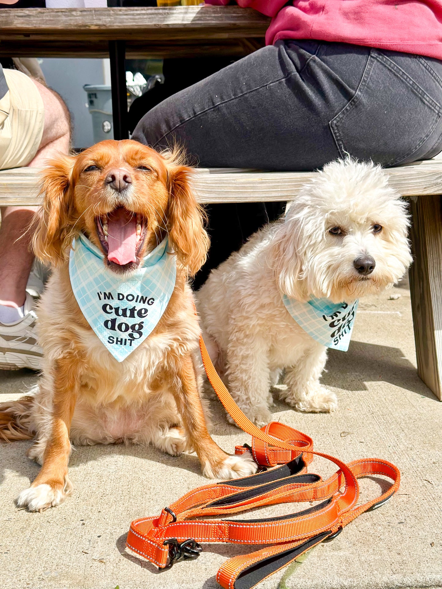 Cute Dog Shit Wrinkle Resistant Bandana