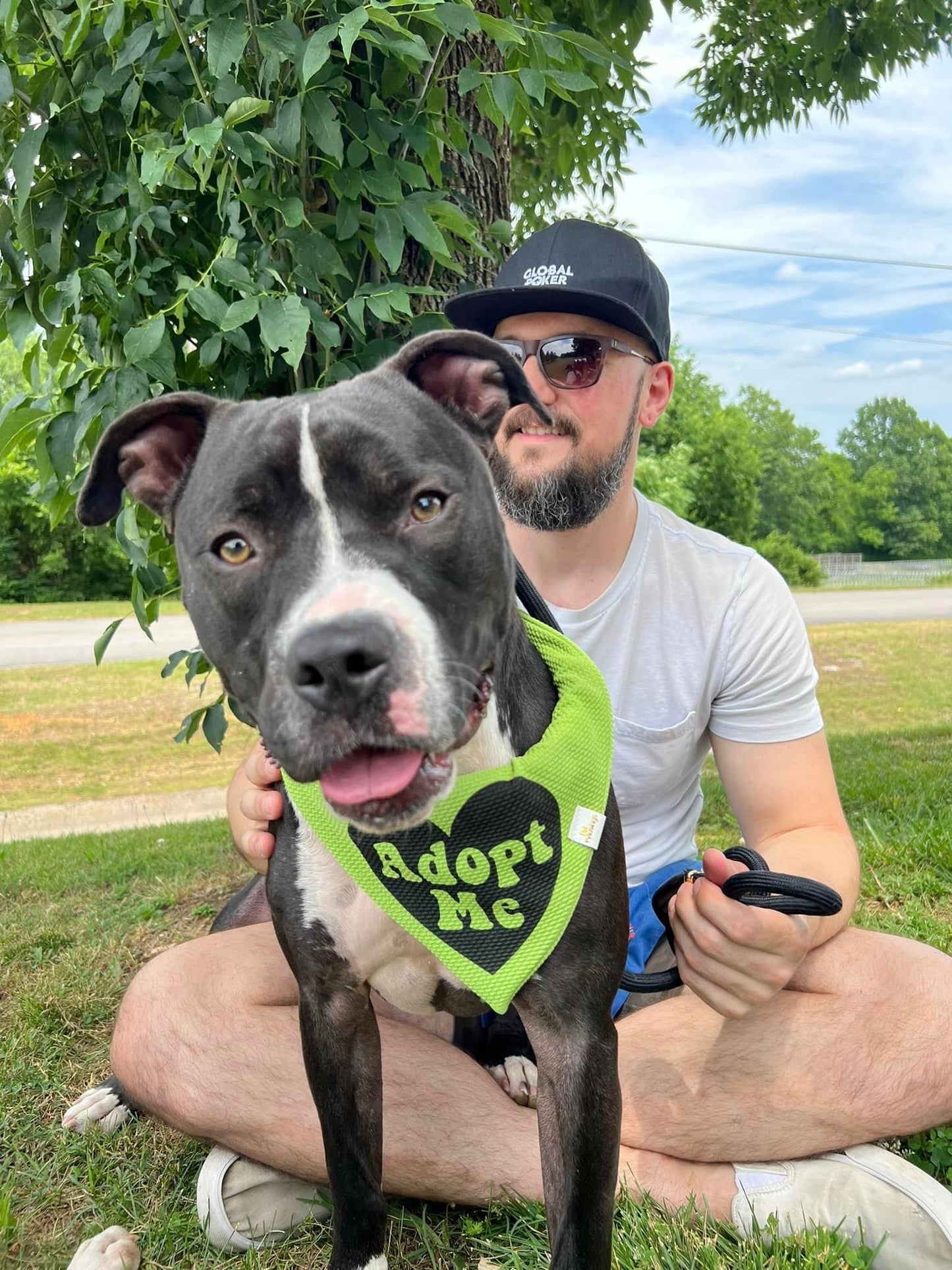 Adopt Me Wrinkle Resistant Bandana