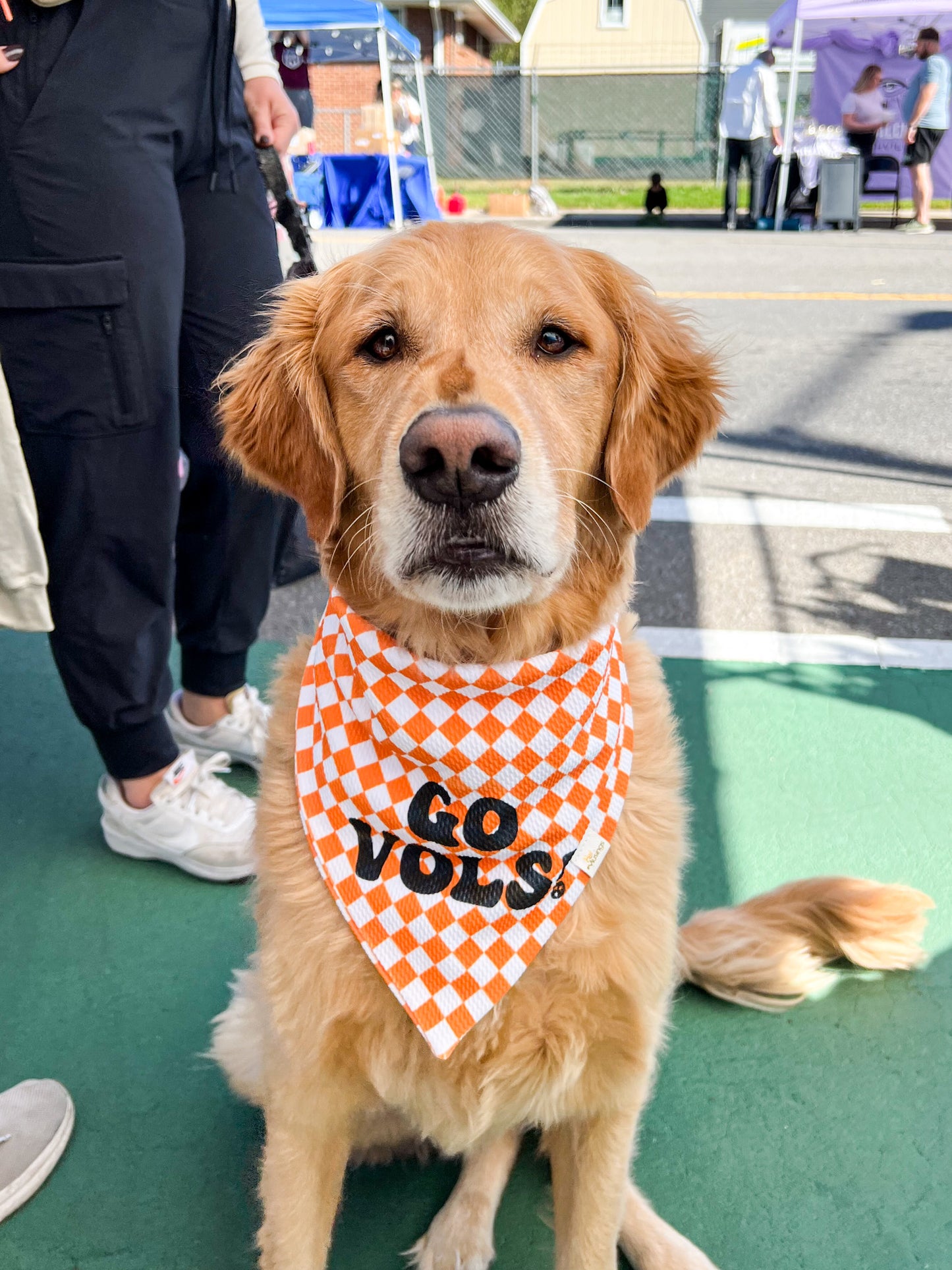 Go Vols Wrinkle Resistant Bandana