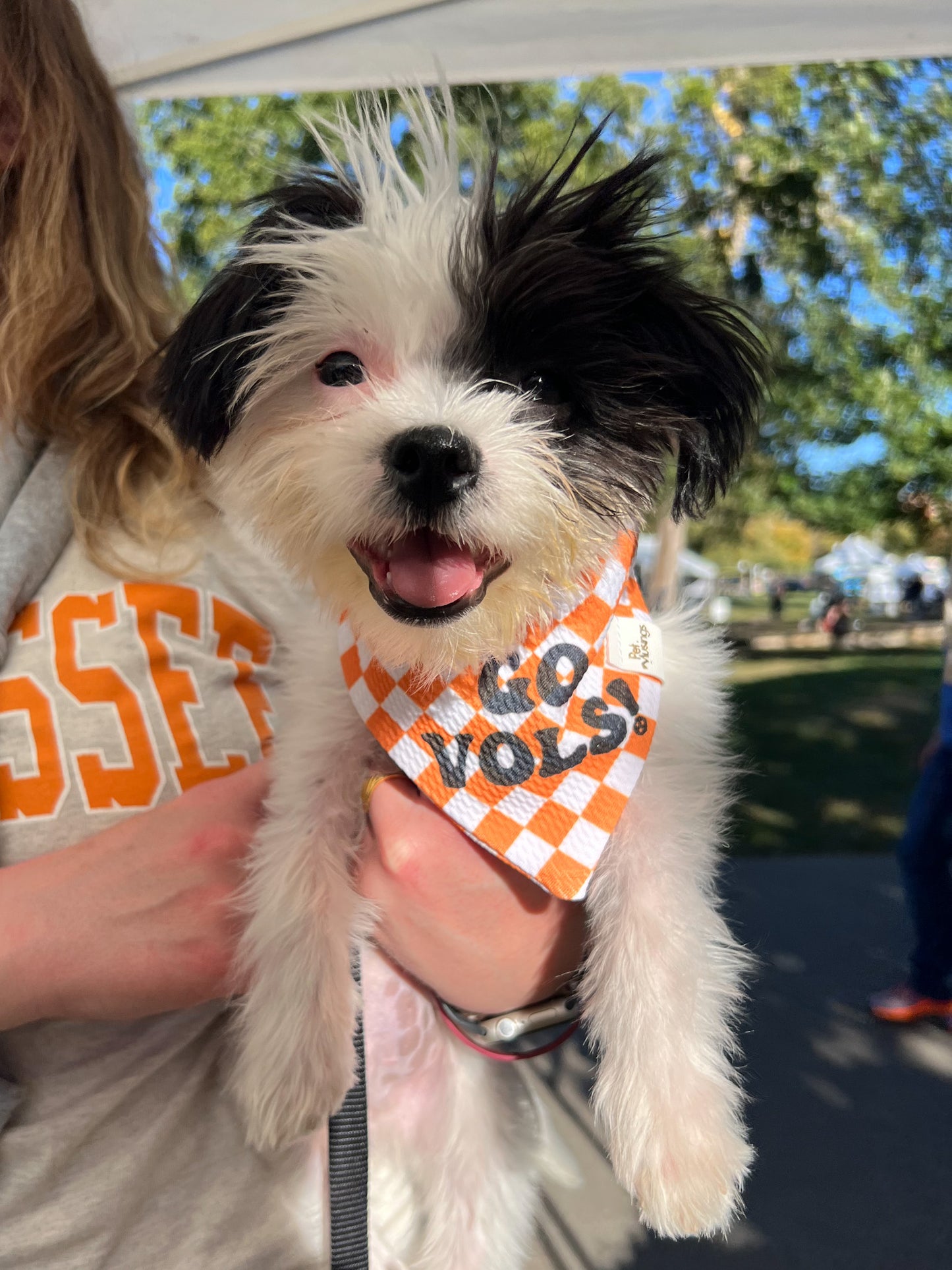 Go Vols Wrinkle Resistant Bandana