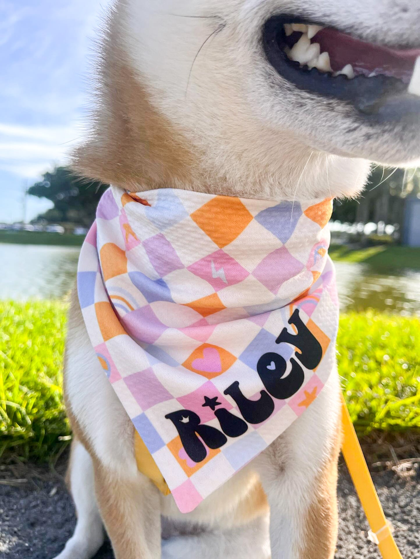 Customizable Peace & Rainbows Wrinkle Resistant Bandana