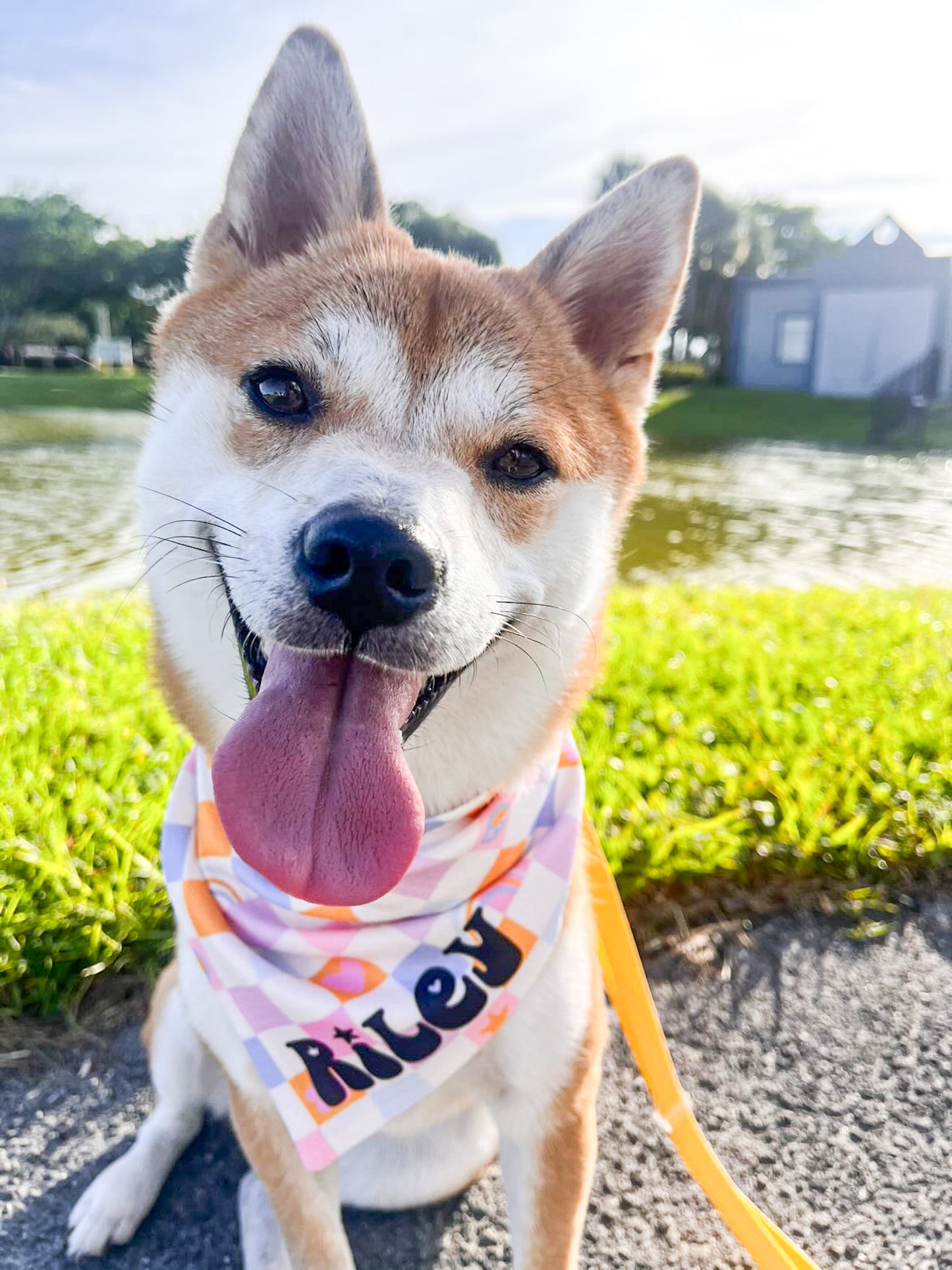 Customizable Peace & Rainbows Wrinkle Resistant Bandana