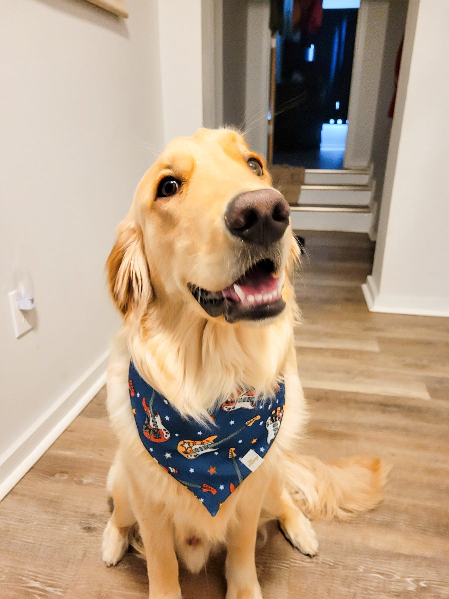 Guitar Wrinkle Resistant Bandana