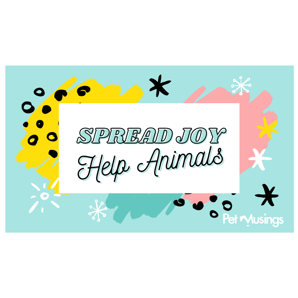 Pet Musings Gift Card - Pet Musings