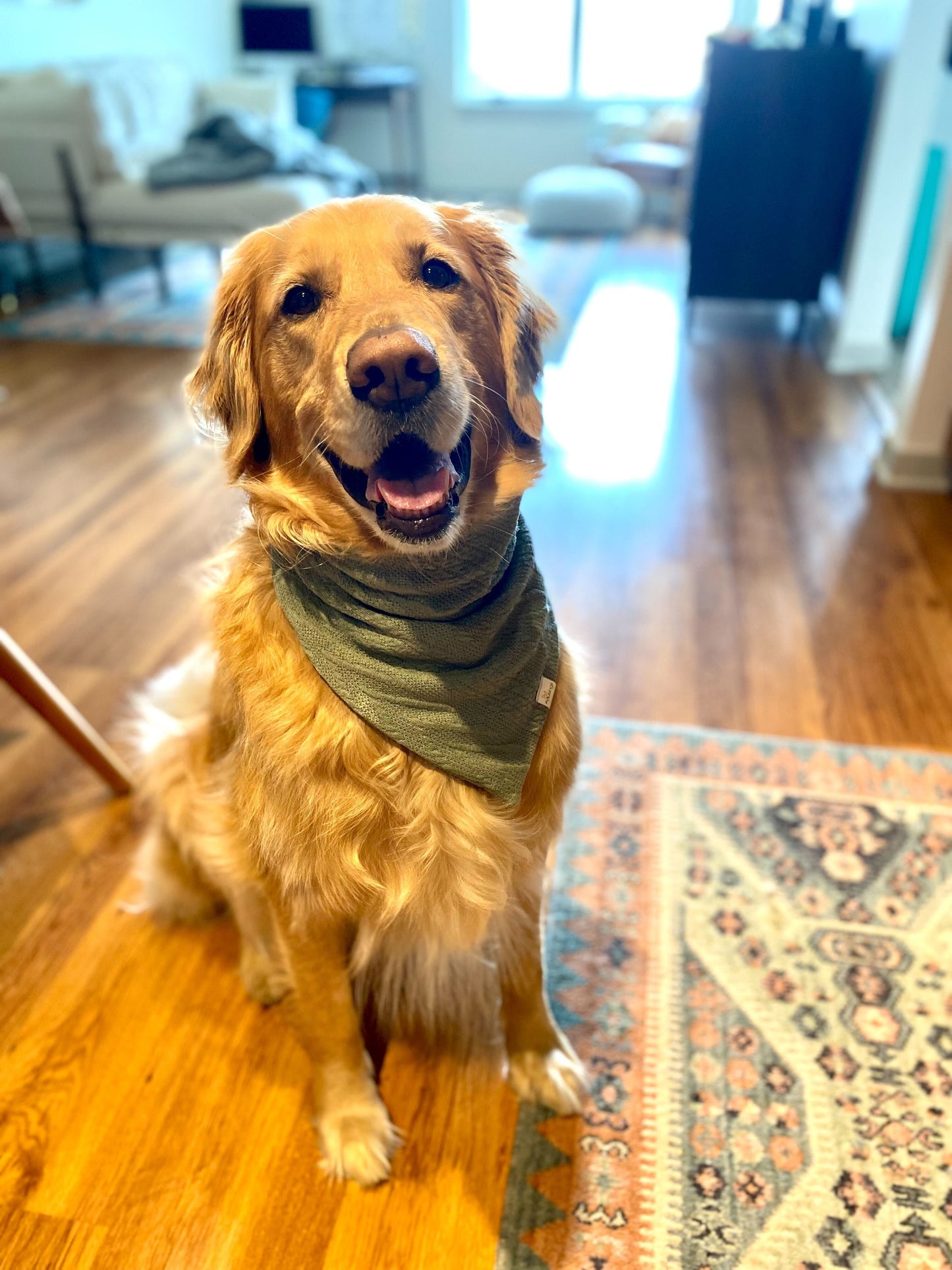 Sage Cable Knit Sweater Bandana