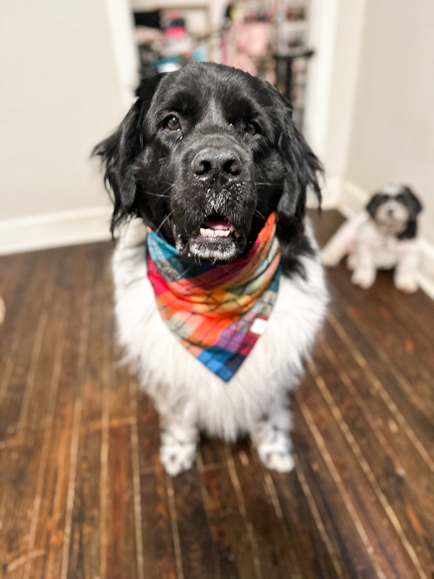 Fall Y'all Plaid Flannel Bandana
