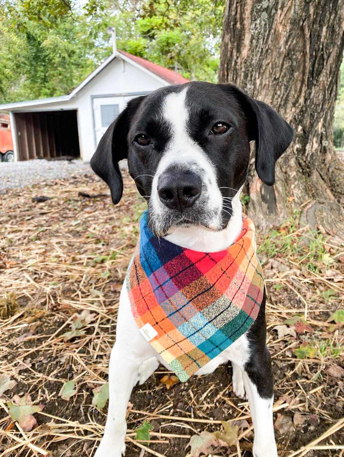 Fall Y'all Plaid Flannel Bandana