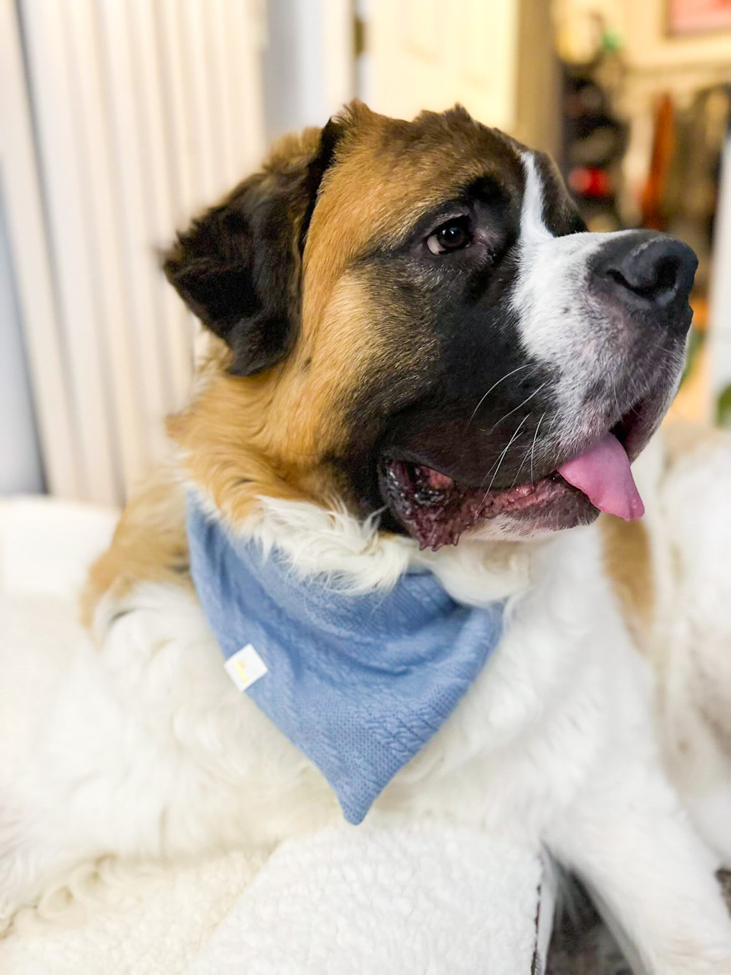 Blue Cable Knit Sweater Bandana