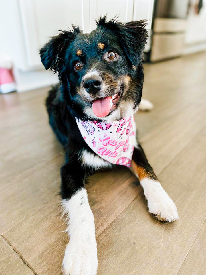 Let's Go Girls Wrinkle Resistant Bandana