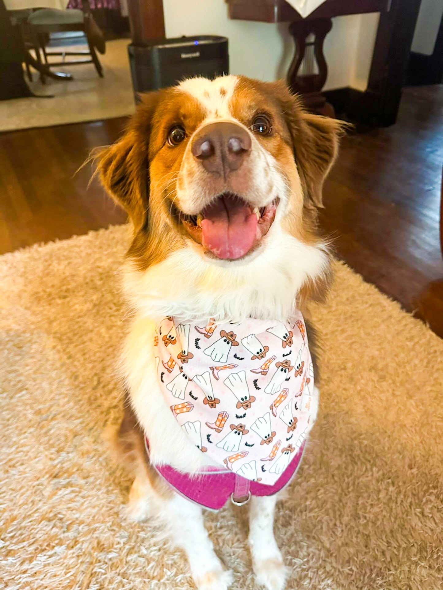 Boot Scootin Ghostie Wrinkle Resistant Bandana