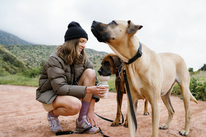 Green Flip Dog Travel Bottle