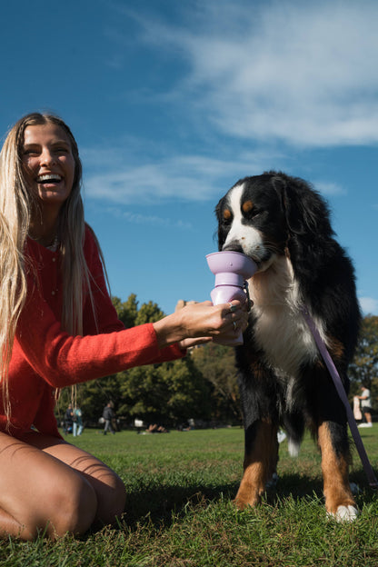 Green Flip Dog Travel Bottle