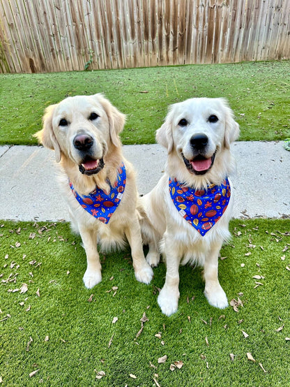 Game Day Football Wrinkle Resistant Bandana