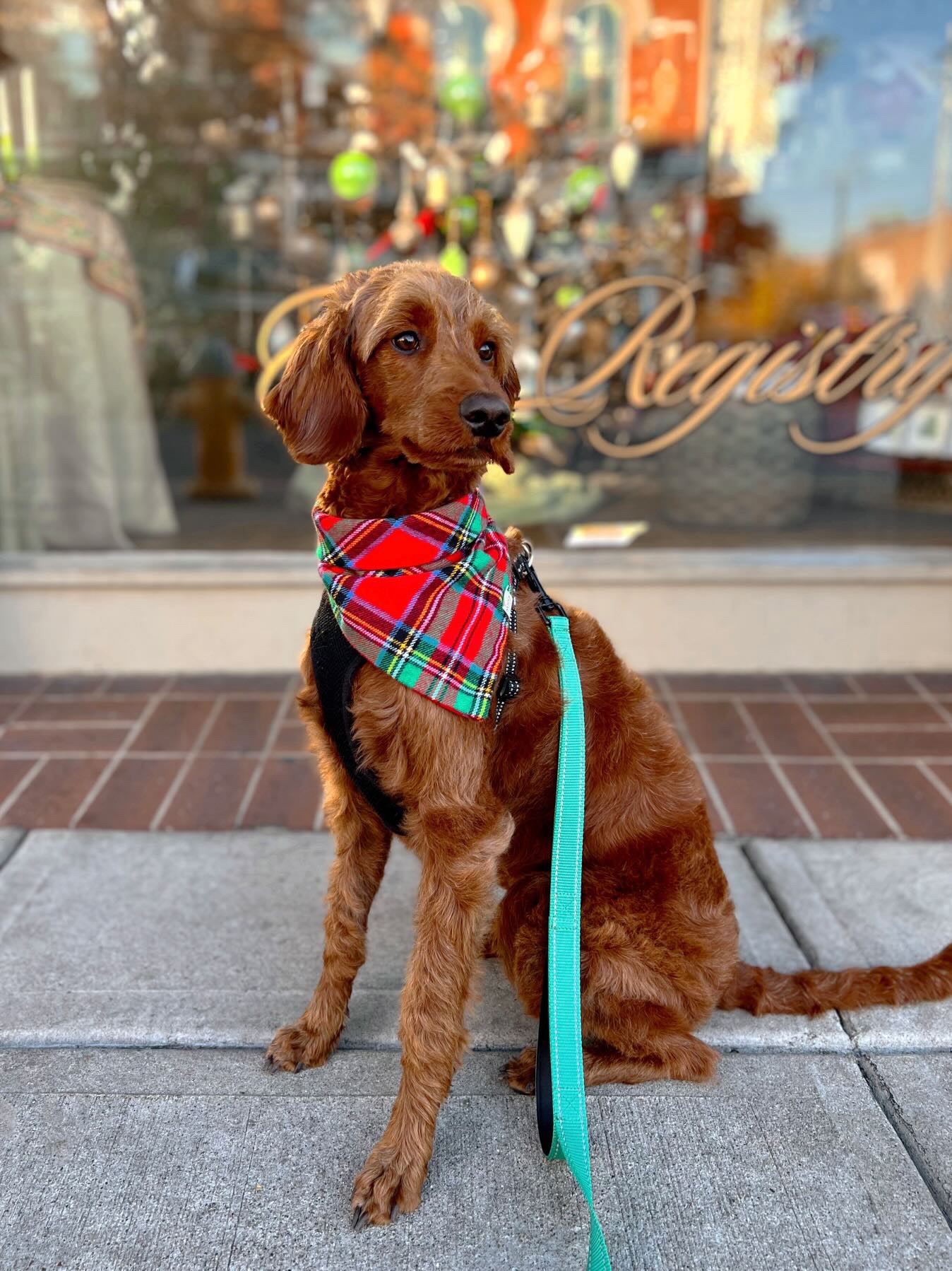 Best Time of the Year Plaid Flannel Bandana