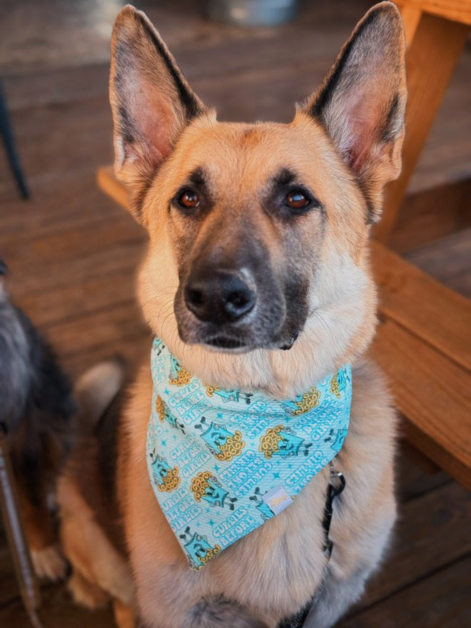 Curlies Before Girlies Wrinkle Resistant Bandana