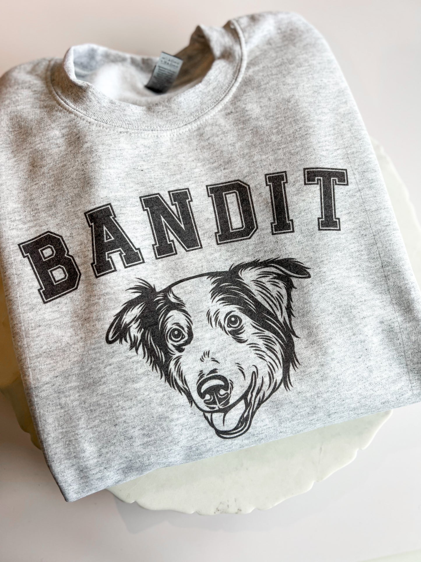 Custom Pet Portrait Varsity Sweatshirt