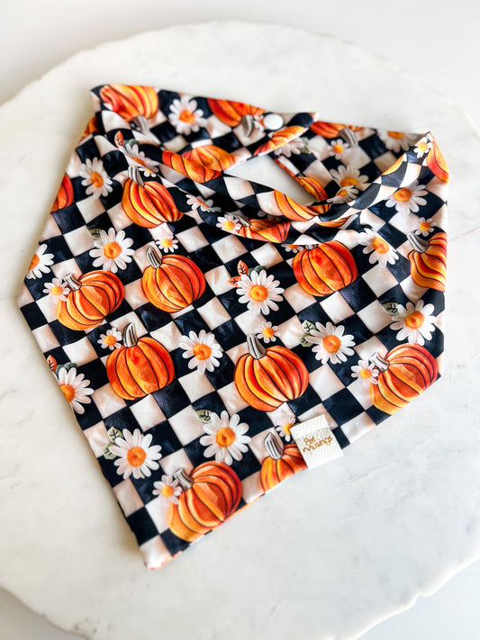 Checker Pumpkin 3D Velvet Wrinkle Resistant Bandana
