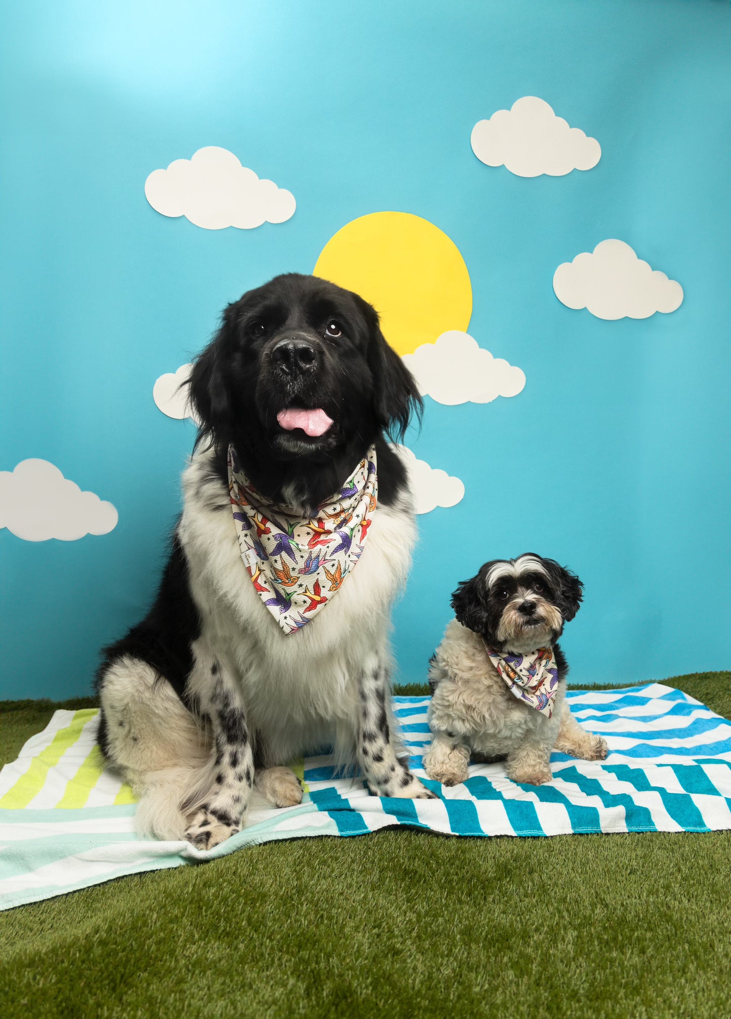 Birds of a Feather Wrinkle Resistant Bandana