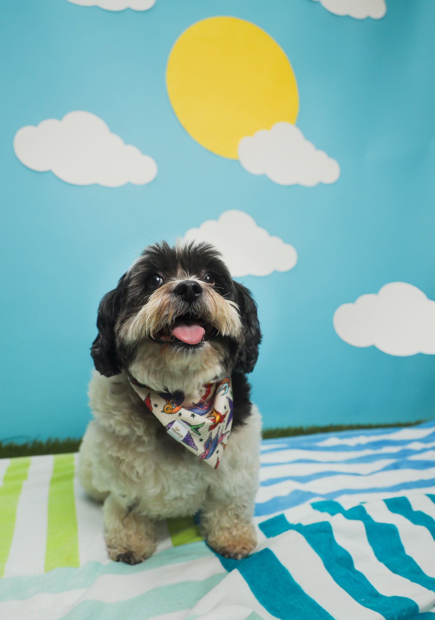 Birds of a Feather Wrinkle Resistant Bandana