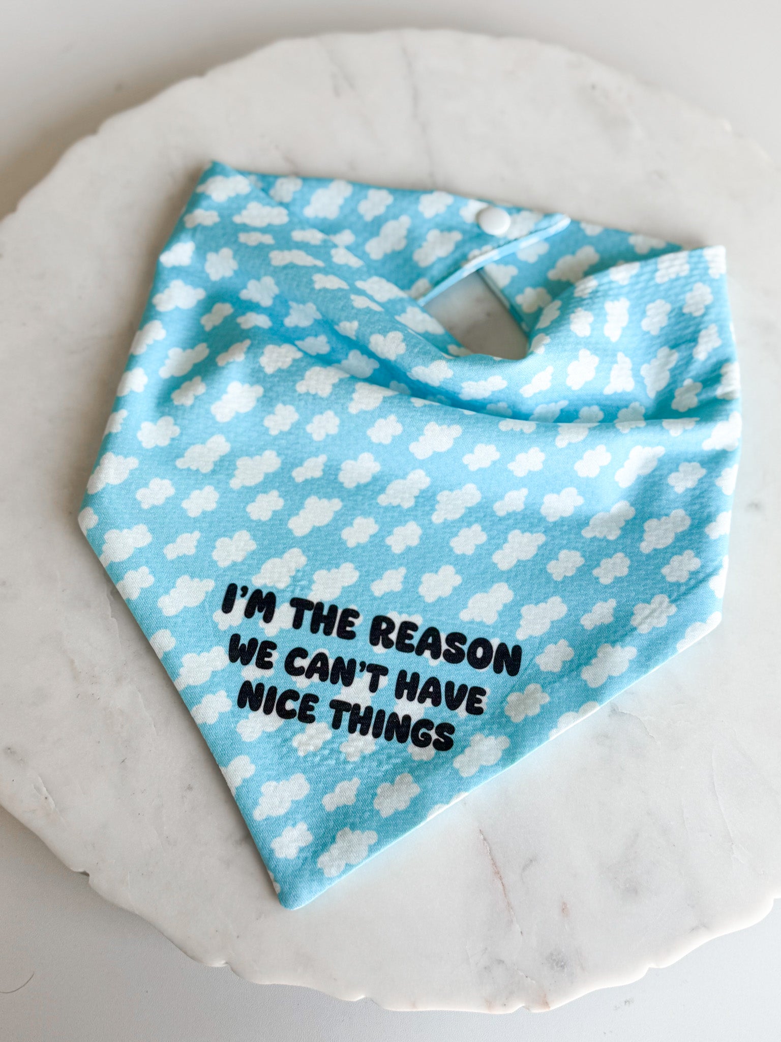 Can't Have Nice Things Wrinkle Resistant Bandana - Pet Musings