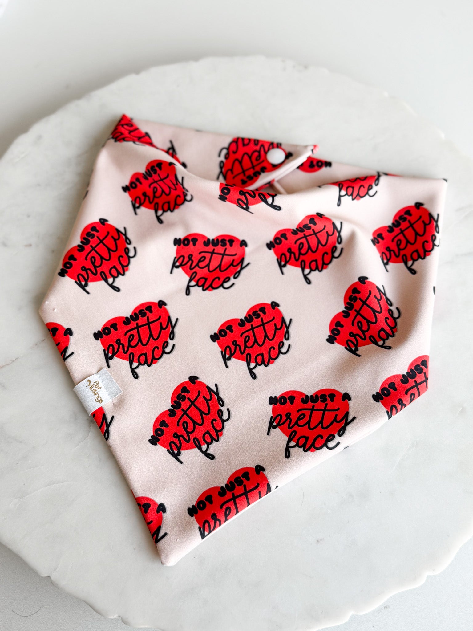 Not just a Pretty Face Wrinkle Resistant Bandana - Pet Musings