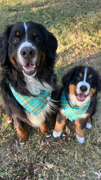 Sweater Weather Plaid Flannel Bandana