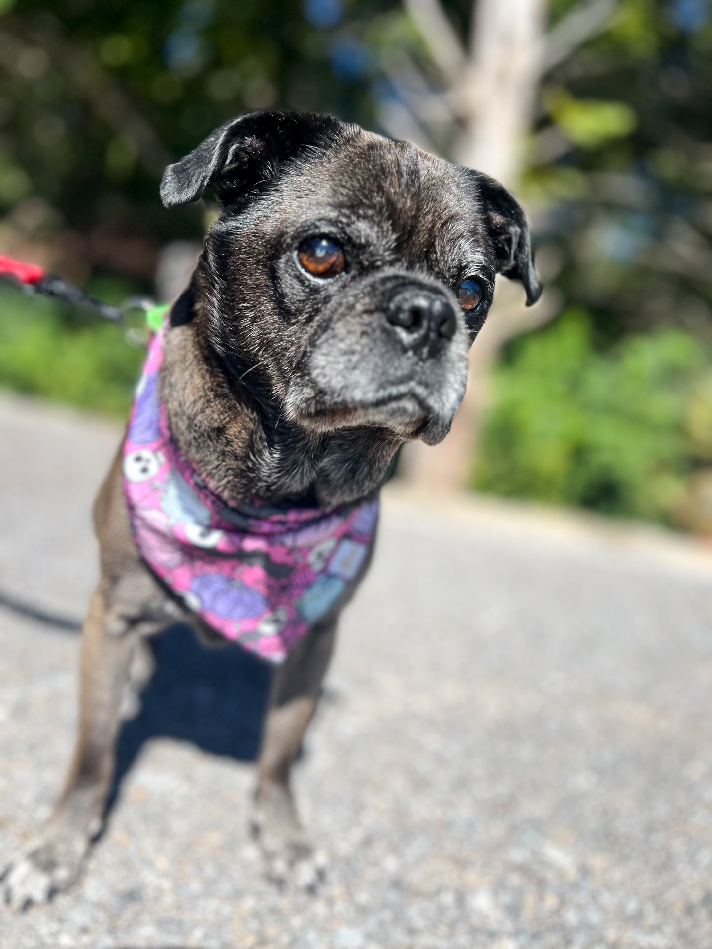 Spooky But Cute Wrinkle Resistant Bandana