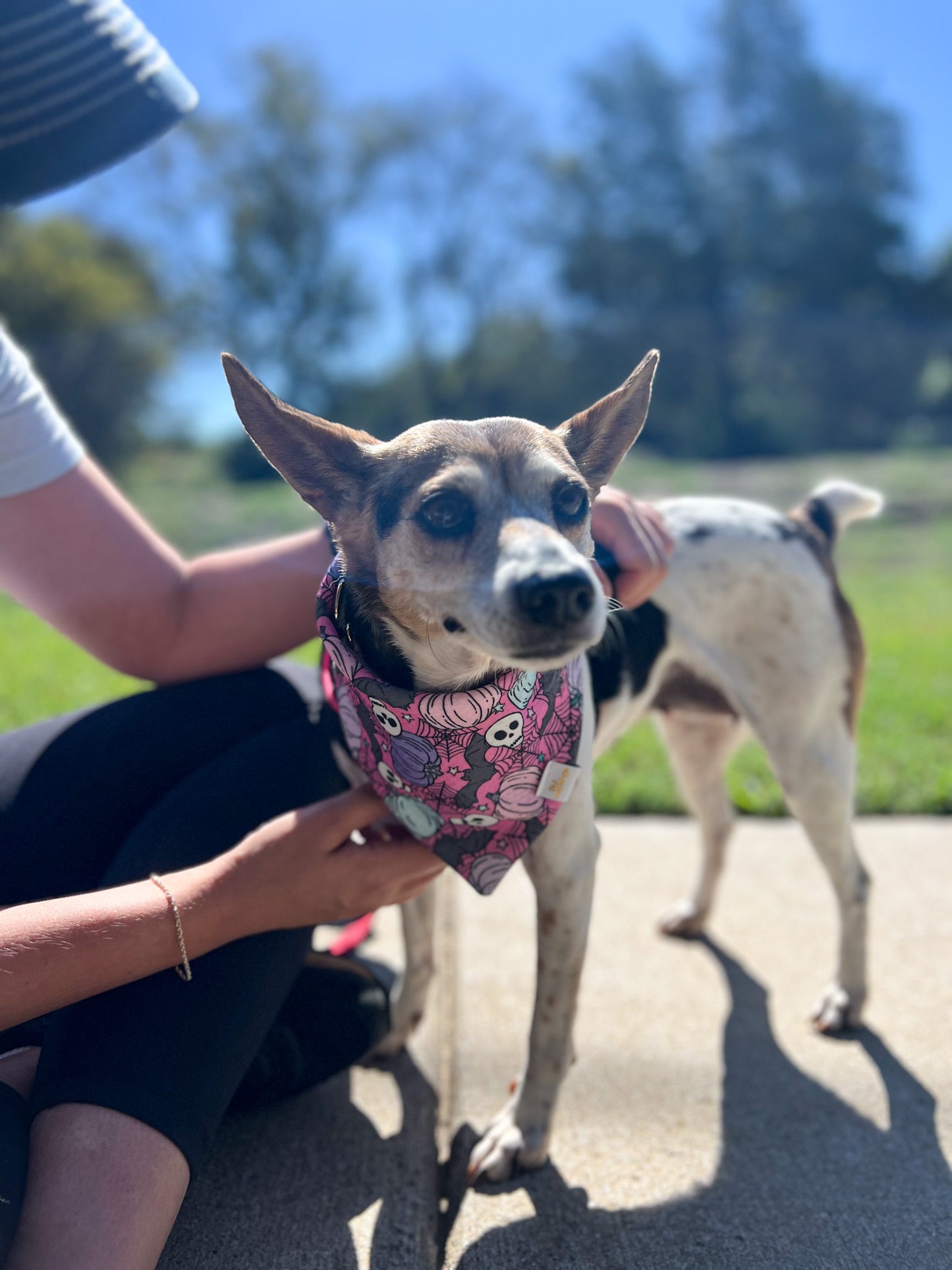 Spooky But Cute Wrinkle Resistant Bandana