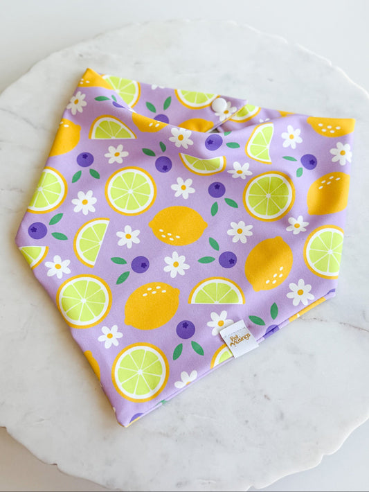 When Life Gives You Lemons Wrinkle Resistant Bandana - Pet Musings