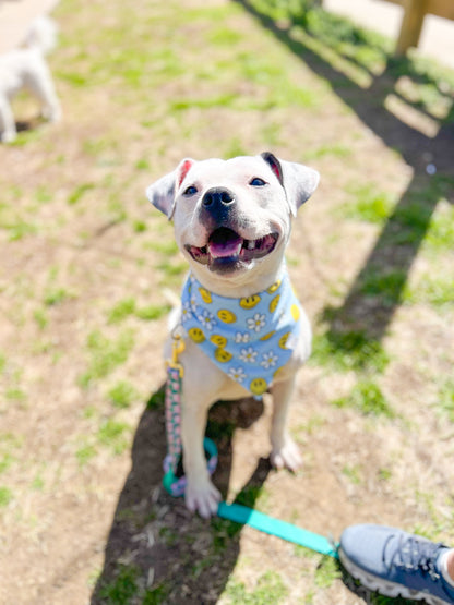 Daisy Smileys Wrinkle Resistant Bandana