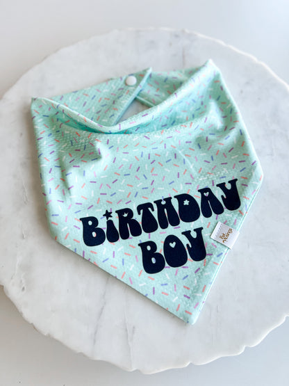 Birthday Boy Fun Wrinkle Resistant Bandana - Pet Musings