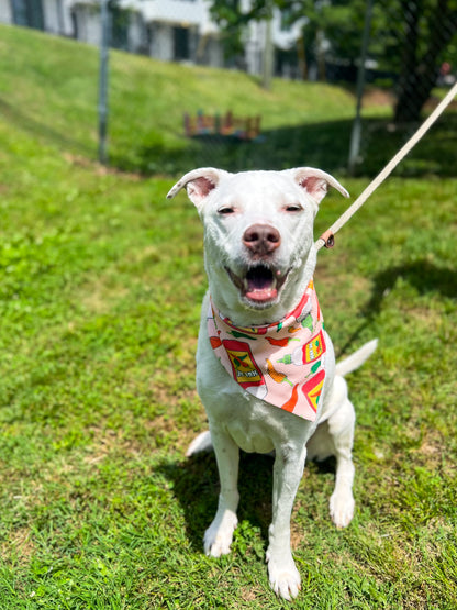 Hot AF Wrinkle Resistant Bandana