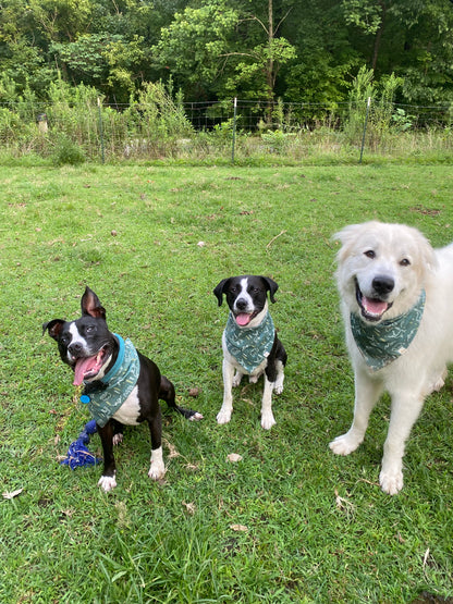 The Mountains are Calling Wrinkle Resistant Bandana - Pet Musings