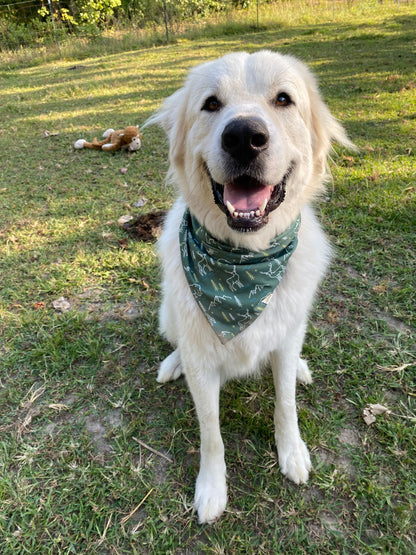 The Mountains are Calling Wrinkle Resistant Bandana - Pet Musings
