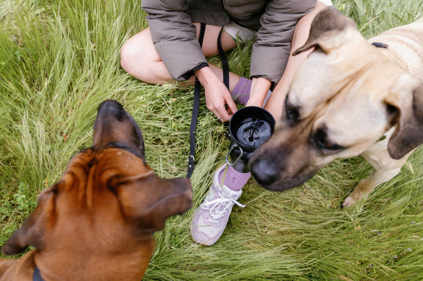 Green Flip Dog Travel Bottle