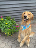 Hotdog Burger Pretzel Wrinkle Resistant Bandana