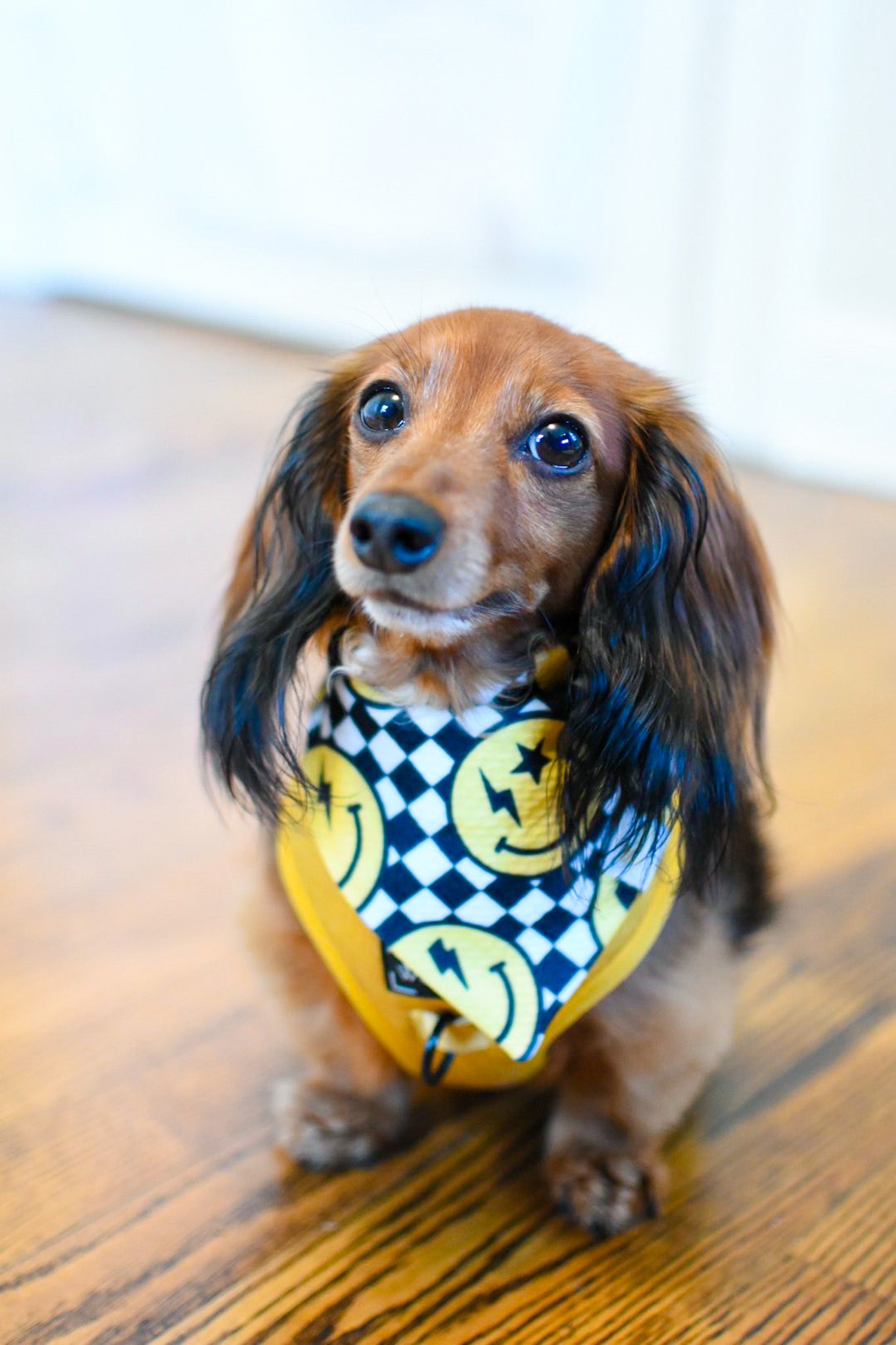 Smiley Checkered Wrinkle Resistant Bandana