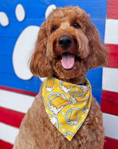 Beer Wrinkle Resistant Bandana