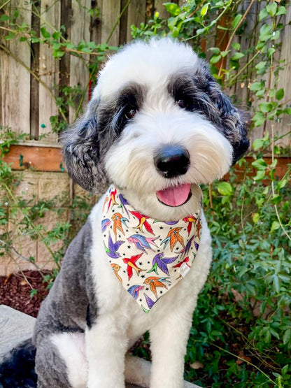 Birds of a Feather Wrinkle Resistant Bandana