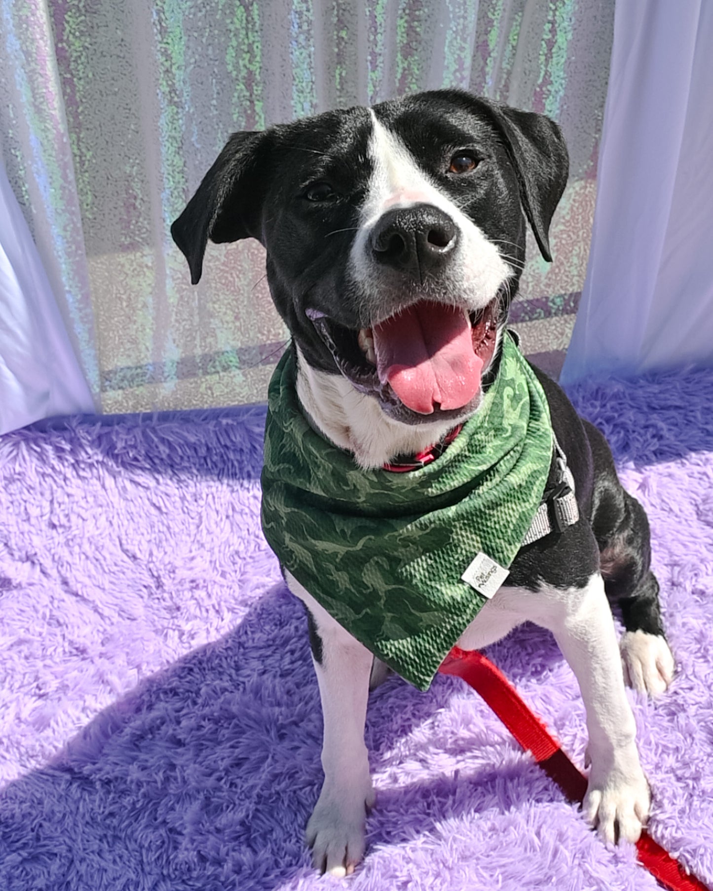 Camo Dino Wrinkle Resistant Bandana