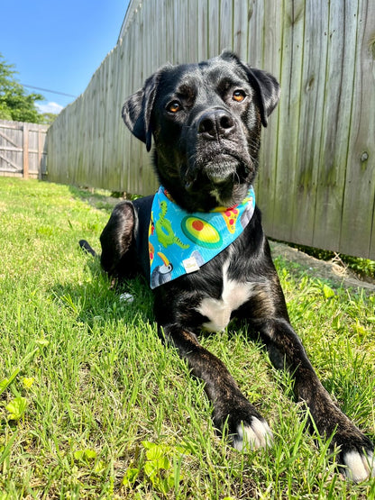 Pool Party Floaties Wrinkle Resistant Bandana