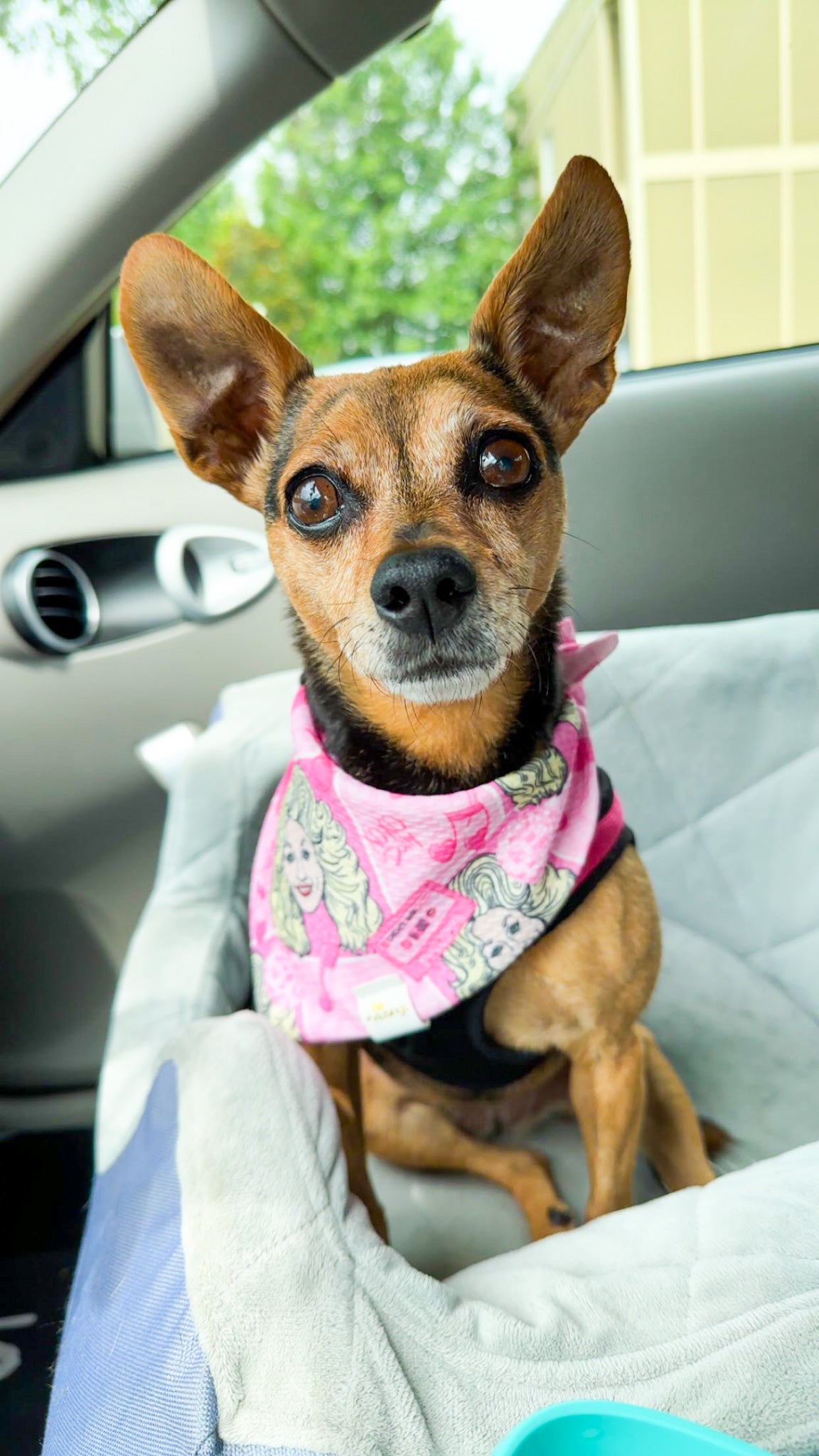 Dolly Wrinkle Resistant Bandana