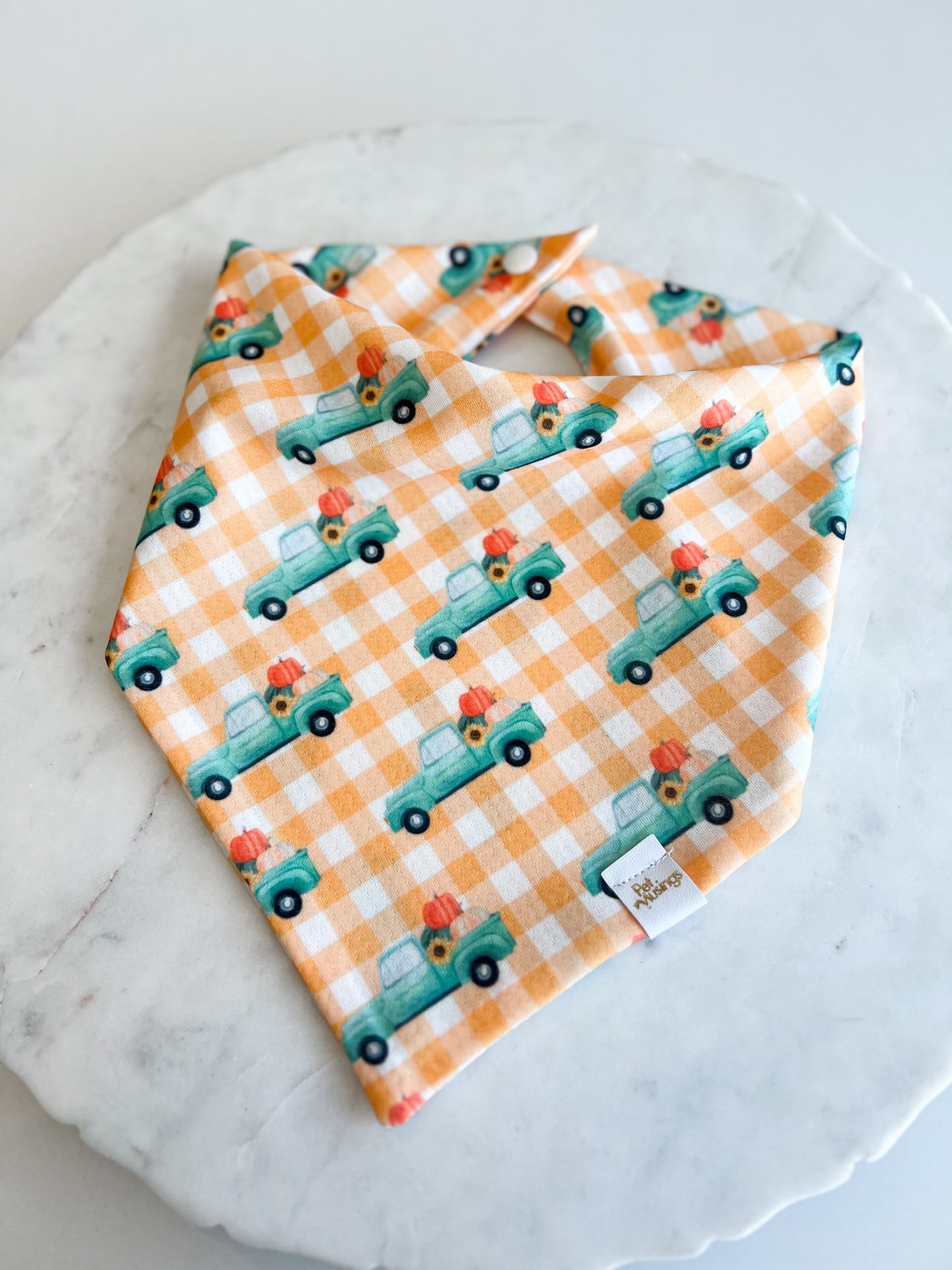 Farm Fresh Pumpkins Wrinkle Resistant Bandana