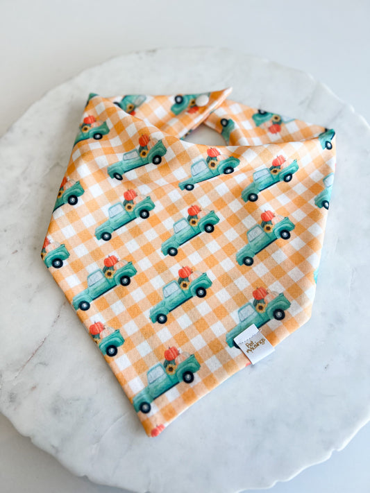 Farm Fresh Pumpkins Wrinkle Resistant Bandana