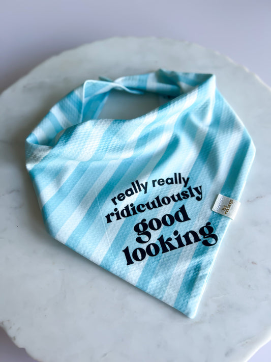 Ridiculously Good Looking Wrinkle Resistant Bandana